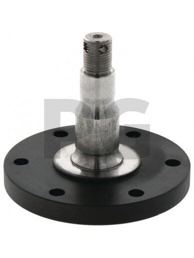 Ašis With flange Ašis With flange