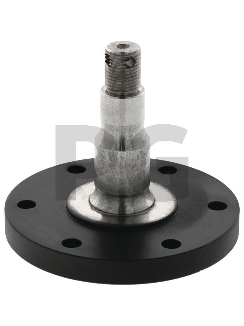 Ašis With flange Ašis With flange