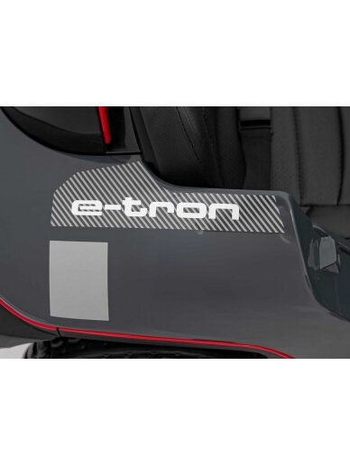 Audi RSQ E-TRON Pilka Elektromobilis vaikams 17