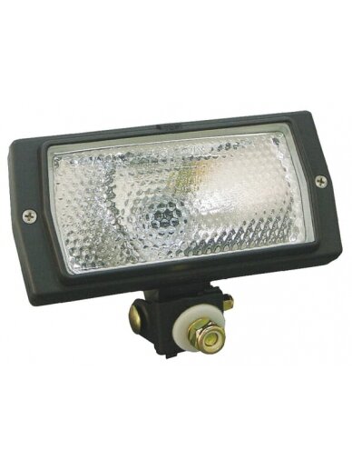 Darbinis halogeninis šviestuvas, 55W, stačiakampis, 12 V, skaidrus, Cobo
