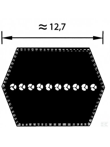 Dvipusis diržas AA128 WI22661 2 Dvipusis diržas AA128 WI22661 2