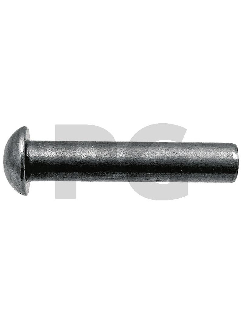 Kniedės (pusapvalės) Pack with approx. 70 pcs., 6 x 25 DIN 660 Kniedės (pusapvalės) Pack with approx. 70 pcs., 6 x 25 DIN 660