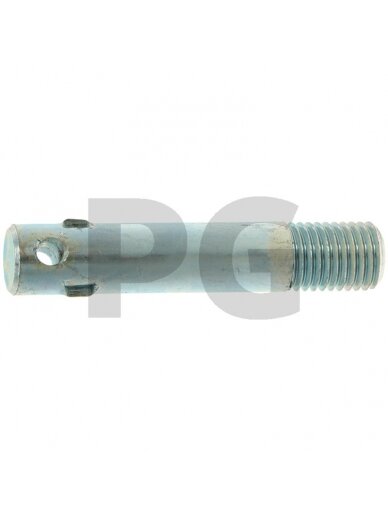 Kotas Ilgis: 85 mm Kotas Ilgis: 85 mm