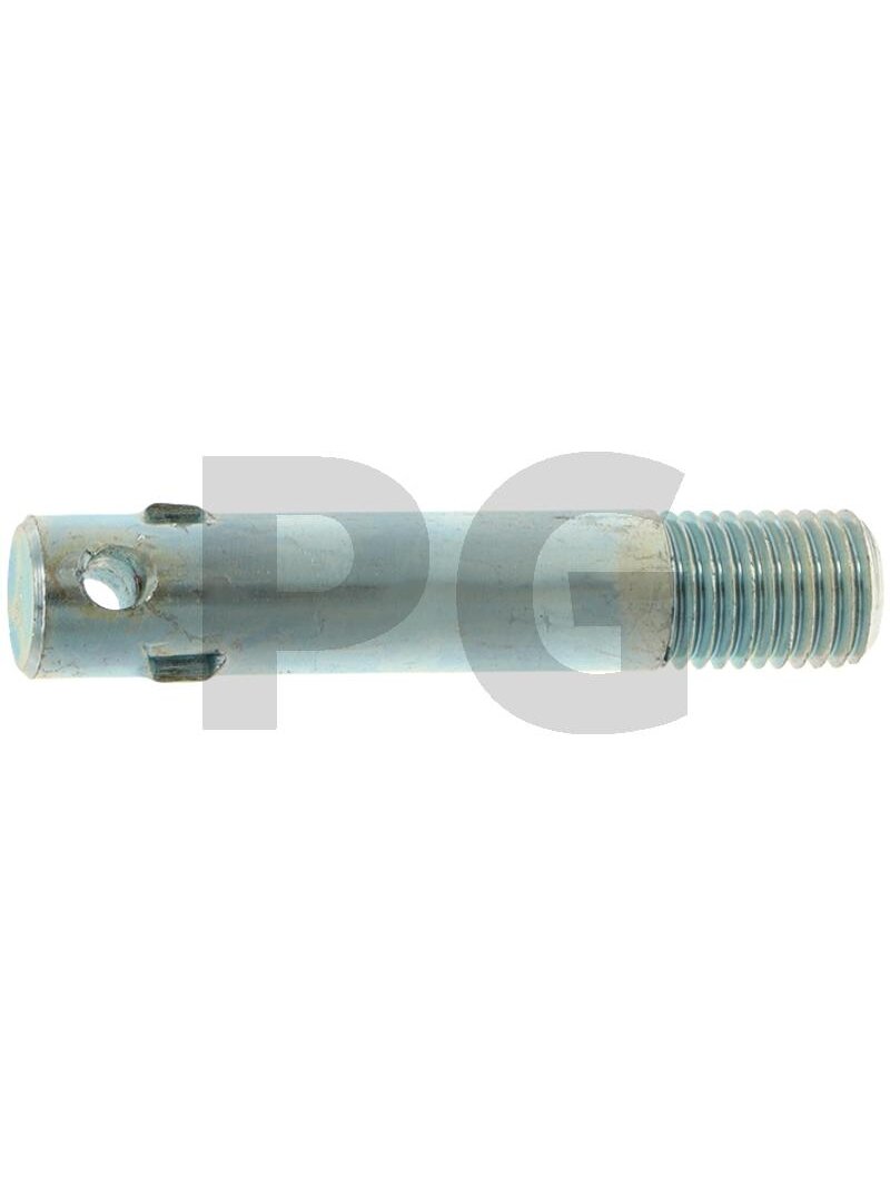 Kotas Ilgis: 85 mm Kotas Ilgis: 85 mm