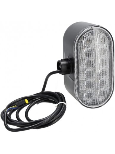 Krypties ir padėties žibintas, LED, kairysis, tinka CNH