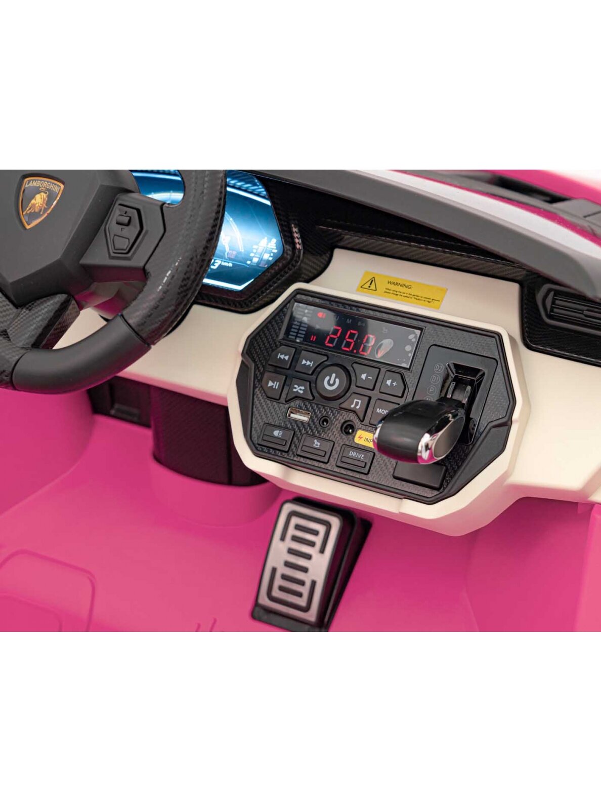 Lamborghini SIAN Elektromobilis vaikams Rausva 9