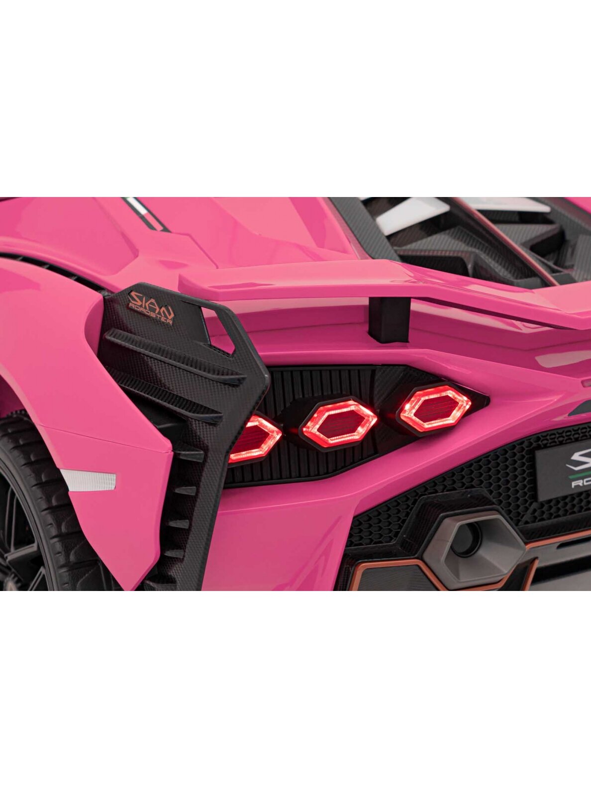Lamborghini SIAN Elektromobilis vaikams Rausva 10