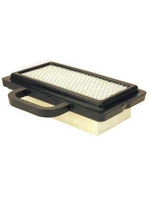 Oro filtras BRIGGS&STRATTON