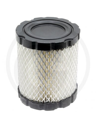 Oro filtras BRIGGS STRATTON 44L900, 44M900, 44P900, 44Q900, 49L900, 49M900 Oro filtras BRIGGS STRATTON 44L900, 44M900, 44P900, 44Q900, 49L900, 49M900