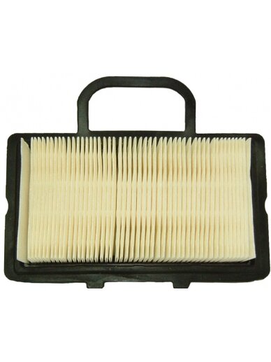 Oro filtras BRIGGS&STRATTON Oro filtras BRIGGS&STRATTON