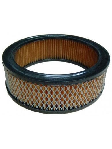 Oro filtras BRIGGS&STRATTON VANGUARD Oro filtras BRIGGS&STRATTON VANGUARD