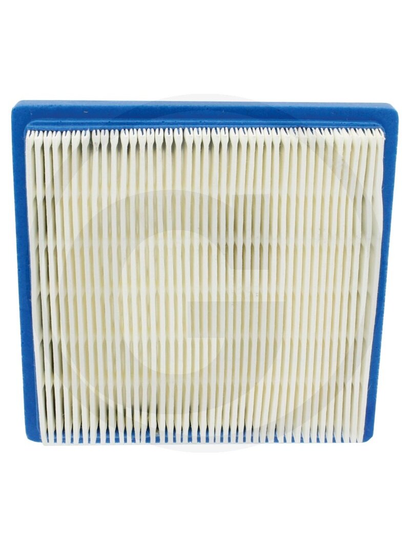 Oro filtras BRIGGS STRATTON 100700