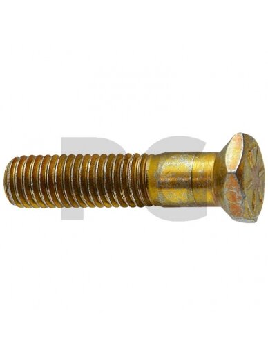 Šešiakampis varžtas with taper Šešiakampis varžtas with taper