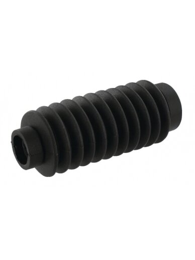 Silfonai 1