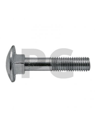 Vežimo varžtas 10 x 30 DIN 603 8.8 galvanised Vežimo varžtas 10 x 30 DIN 603 8.8 galvanised