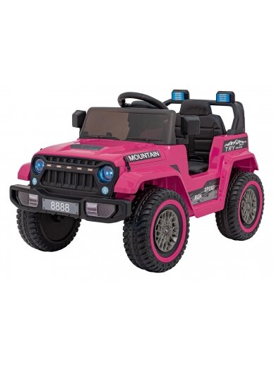 Visureigis MOUNTAIN Pink 2