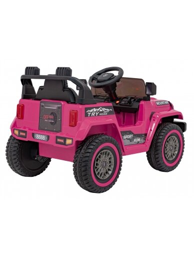 Visureigis MOUNTAIN Pink 7